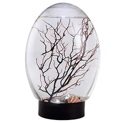 Mini Aquarium Fish Tank Ecosphere
