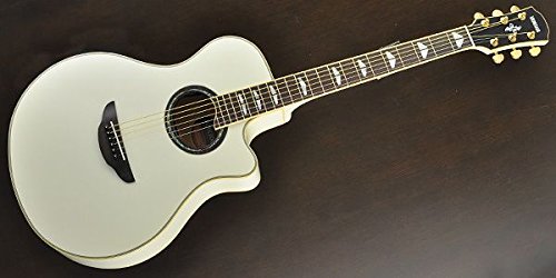 ギター YAMAHA APX1000 Yamaha APX1000 NT