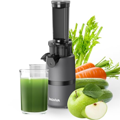 Cold Press Juicer, INOVIVA Masticating Juicer Machines Compact, Slow Juicer with 70 RPM Low Speed, Juice Maker for Vegetable & Fruit, Portable Juice Extractor High Juice Yield & Easy to Clean, Grey