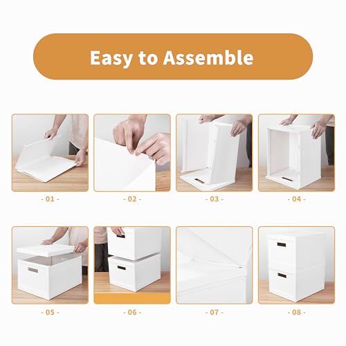 Seseno File Organizer File Box With Lid, Universal Hanging File Organizer Box, Letter/Legal Size File Folder Box, 2 Pack Plastic Office Document Filing Storage Bin thumb #5