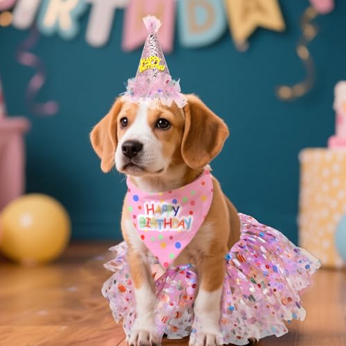 Disfraz de cumpleaños para perro con gorro y vestido rosa miniatura 5