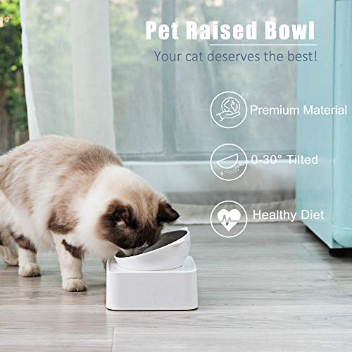 7 Best SpillProof Water Bowl for Cats (2022 Reviews)