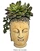 THE JOY TREE Buddha Head Cement Planter Pot for Plants Flowers Succulents 4