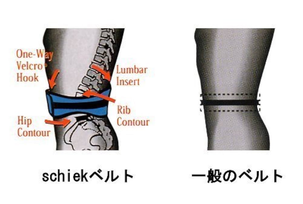 Amazon | Schiek(シーク) リフティングベルト 4004 スターズ