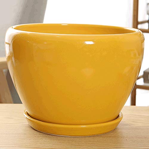 Pot de plante zisha haut de gamme céramique artisanale et plateau en bambou