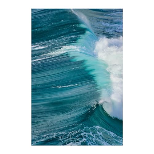 Sigma 16-300mm F3.5-6.7 DC OS Contemporary Lens (Canon RF