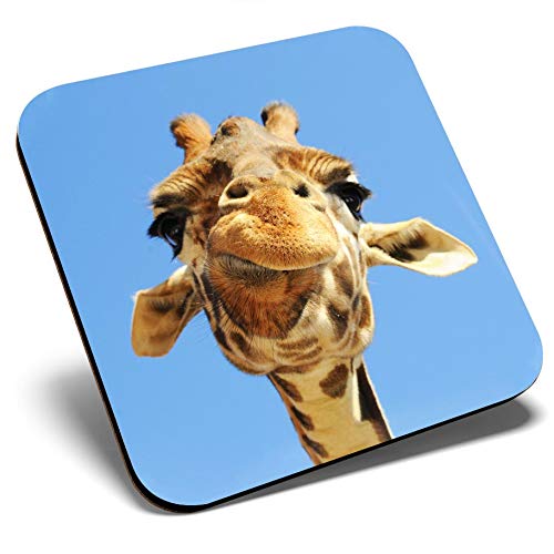 Posavasos cuadrados con diseño de jirafa tonta y divertido | Posavasos de calidad brillante | Protección de mesa para cualquier tipo de mesa #8956