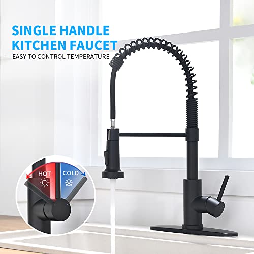 image for OWOFAN Black Kitchen Faucet with Pull Down Sprayer 1 Handle Pull Out S