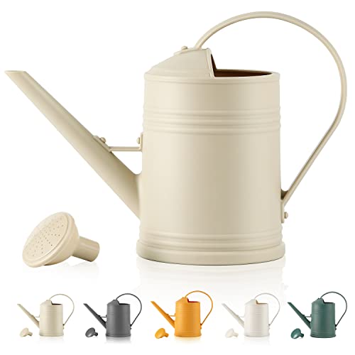 Top 10 Indoor Plant Watering Can of 2022 Katynel