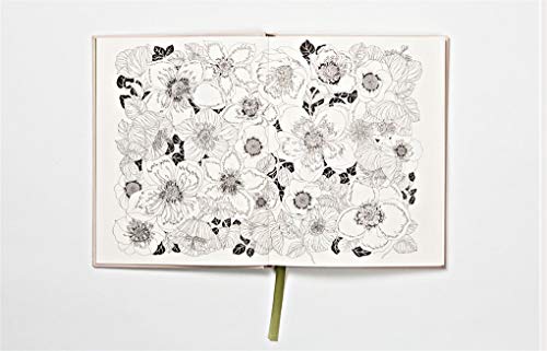 The Flower Year: a Colouring Book