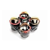 Thermo Scientific TX-750 4 + 750 ml Ausschwingrotor