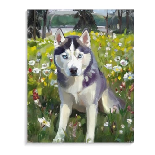 DIY Paint by Numbers Siberian Husky Dog on Canvas Painting Kits for Adult, Beginner Oil Painting Kits Gift 20x24inch(50x60cm) Frameless
