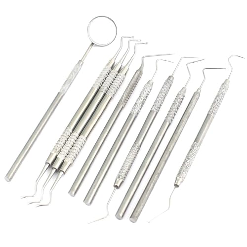 AAPROTOOLS 10 PCS Premium Dental Examination Set Explorers Probes EXCAVATORS SPREADERS Mirror A+ Quality