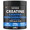 Bandini® Creatina en Polvo Micronizada – Polvo de Monohidrato de Creatina 100% Puro para Rendimiento y Potencia Muscular – Sin Sabor – Incluye dosificador – 88 Porciones – 300 gramos Vegano