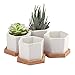 Succulent Planter,OAMCEG 2.75 Inch Mini Succulent Plant Pots,Set of 4 White Ceramic Succulent Cactus Planter Pots with Bamboo Tray(Plants NOT Included)