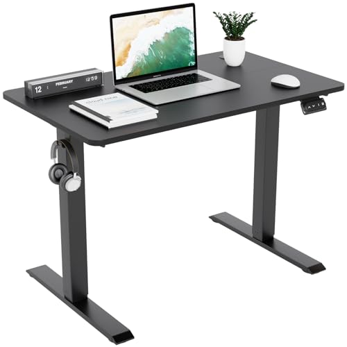 TRIUMPHKEY Mesa elevable 100x60cm, Standing Desk,Escritorio Elevable Eléctrico con 2 Alturas de Memoria, Agujero Pasante, Escritorio de Altura Ajustable 71-119cm Negro