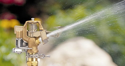 Orbit 55032 1/2" Brs Sprinkler Head, Connection, Silver And Gold #TOP1