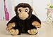 CJWSLYT Animal en peluche 17,8 cm Tigre Lion Léopard Mignon Raton laveur Hérisson Renard Guépard Couleur : Chimpanzé Hauteur : 18 cm