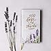 100 Days of Thanks: A Devotional Journal to Grow Your Gratitude (100 Daily Devotions)