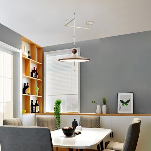 Iluminación deficiente + Luz orientable + Lámpara colgante LED ajustable 2