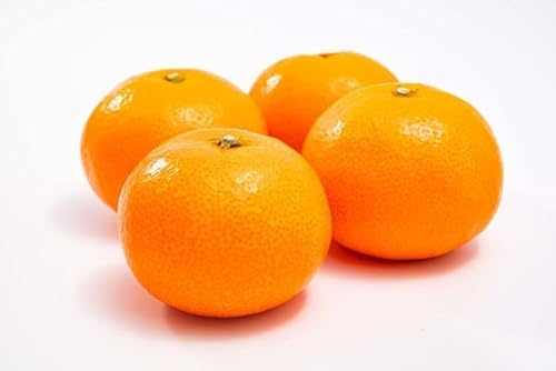 QFa ^݂ 2LTCY 3kg Ε鑡p y11{?12{twsz