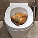 3D Eichhörnchen Toilettensitz-Aufkleber – Lustiger Tierdesign-WC-Sticker aus hautfreundlichem Vinyl