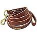 Old World Leather Agitation Lead (1