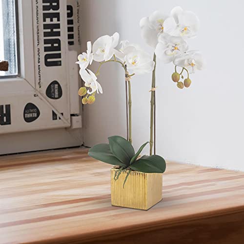 Ziwon Artificial Orchid Flowers Potted In Ceramic Pot, White Faux Phalaenopsis Orchids For Table Centerpiece, Realistic Fake Flower In Vase For Home Office Decor Indoor #TOP4