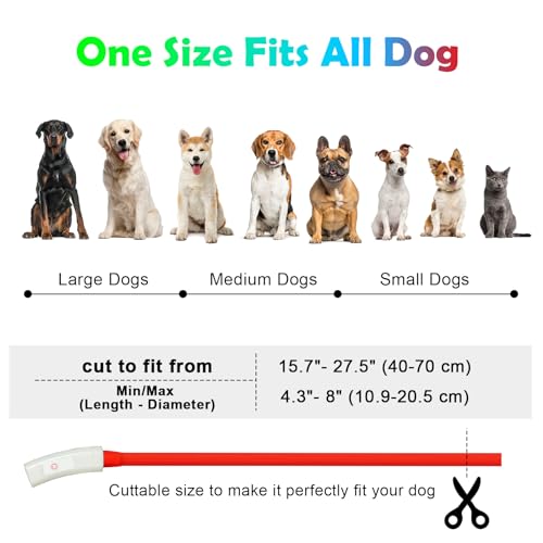 AUAUY LED Light Up Dog Collar - Image 3