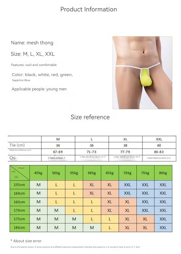 Sexy Low Rise Thongs for Men Breathable Mesh G-String Underwear3