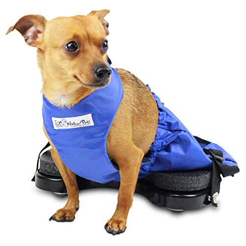 Walkin' Scooter for Rear Legs | Indoor Dog Wheelchair Alternative for Paralyzed Pets