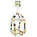 Exotic Nutrition Rainbow Accessory Bundle - Colorful Interactive Cage Toys - Sugar Glider, Squirrel, Degu, Parrot, Bird, Chinchilla, Hamster, & Other Small Pets