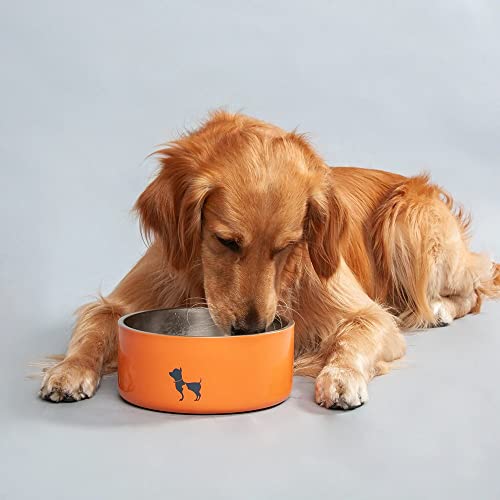 Image of HUFT Quintessential Double-Walled Pet Bowl - 1900 ml | Large | Insulated Design Keeps Food & Water Fresh | Durable & Easy to Clean | Ideal Feeding Bowl for Dogs & Cats Daily Use