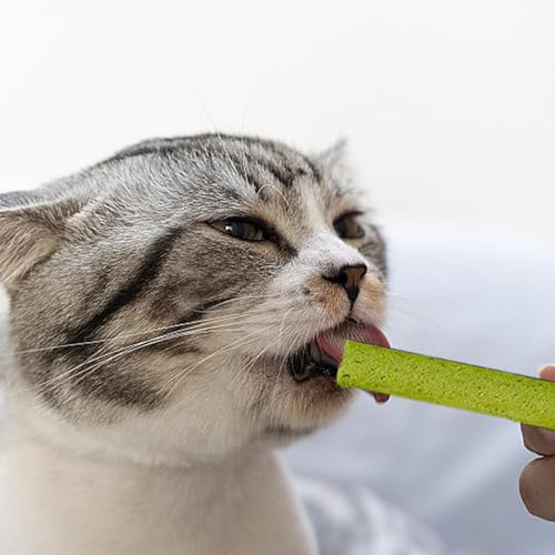 Hierba para gatos en palitos para el bienestar digestivo en el hogar 7