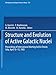 Produktbild Structure and Evolution of Active Galactic Nuclei: International Meeting Held in Trieste, Italy, April 1013, 1985 (Astrophysics and Space Science Library, 121, Band 121)