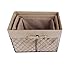 DII Farmhouse Chicken Wire Storage Baskets with Liner, Set of 3, Rustic Natural, Assorted Sizes