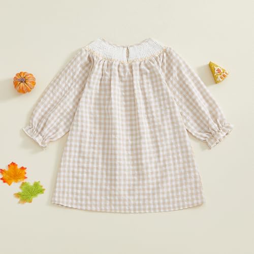 Toddler Baby Girl Thanksgiving Dress Plaid Turkey Embroidery Long Sleeve Smocked Dress Fall Photoshoot Clothes3