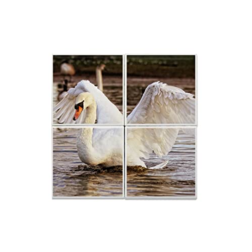 Carreaux céramique cygnes : décoration nature pour votre salon