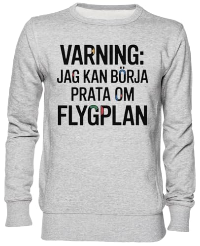 Sweat-shirt gris aviation pour homme et femme pull imprimé cochon rigolo en jersey