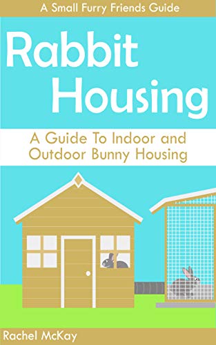 rabbit enclosures outdoor