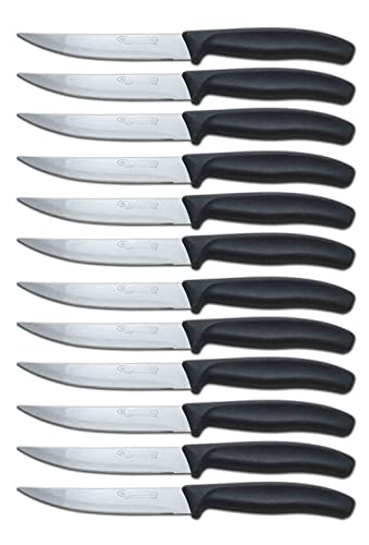Generico Practic Set 12 coltelli da cucina con filo 11 cm.