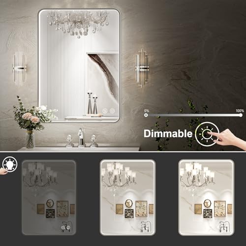 FTOTI LED Bathroom Mirror with Lights,24x32 Inch Brushed Silver Framed Lighted Vanity Mirror,Anti Fog Stepless Dimmable Wall Mounted(Horizontal/Vertical)