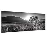 Pintar por Numeros Adultos Animal Cuadros para Pintar por Numeros, Kit Manualidades Adultos Incluye Pinceles y Pinturas Acrílicas, Leopardo Painting by Numbers Decoración del Hogar, 35x70cm 02w-15