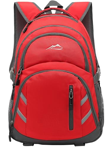ProEtrade Backpack Bookbag for College Laptop Travel, Fit Laptop Up to 15.6 inch with USB Charging Port Multi Compartment Anti theft, Gift for Women Men (Red)