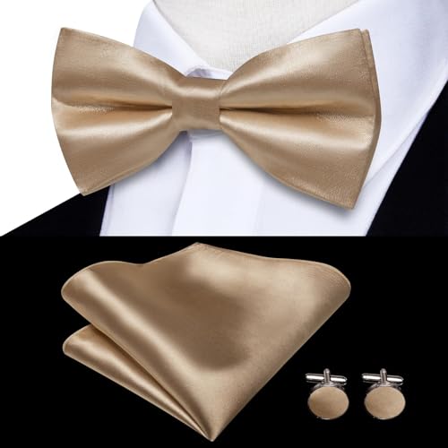 Image of Hi-Tie Men Suspender Bowtie Set Suspenders Pre-tied Bow Tie Pocket Square Cufflinks Adjustable Y Shape 6 Clips Braces Tuxedo