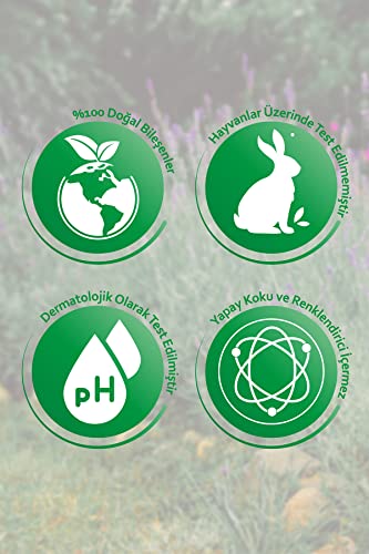 TONYMOLY Vital Vita 12 Synergy Ampoule - Image 7