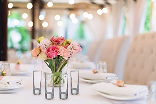 Lillian Rose Set of 4 Tall Shot Glasses, 4 Count (Pack of 1), Clear, 2.25 ounces