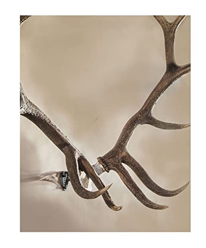 Skull Hooker Powder-Coated Steel Xxl Bone Bracket – Designed To Accommodate The Skull Plates Of Antlered And Horned Species Such As Elk, Caribou, Buffalo, Moose And Heavy-Horned Sheep #TOP2