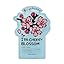 Cherry Blossom, 1 Pack