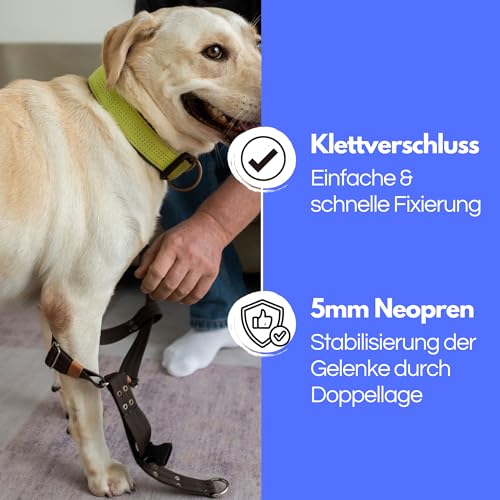 TSM Hundebandage Vorderbein | Reha-Bandage ohne Schiene | Stabilisierung bei Arthrose & Verletzungen | Beidseitig tragbar | Made in Germany | Größe S